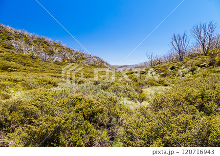 Schlink Pass Landscape in Kosciuszko National Park in Australia Schlink Pass Landscape in Kosciuszko National Park in Australia 120716943