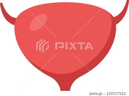 Medical illustration showcasing the human bladder storing urine, highlighting its role in the urinary system and overall health maintenance, depicted in a simple and informative style 120717522