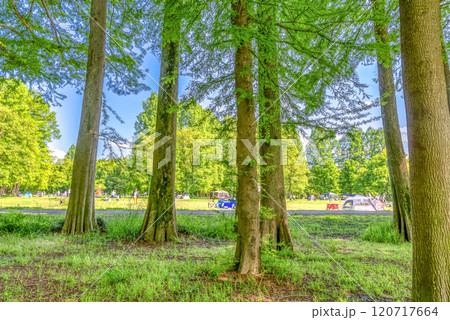 デイキャンプ 秋ヶ瀬公園 デイキャンプ 秋ヶ瀬公園 120717664