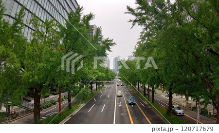 車道 120717679