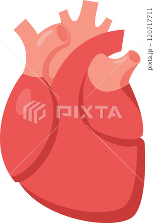 Medical illustration showcasing a healthy human heart, highlighting its role in circulating blood throughout the body and maintaining overall health and well being Medical illustration showcasing a healthy human heart, highlighting its role in circulating blood throughout the body and maintaining overall health and well being 120717711