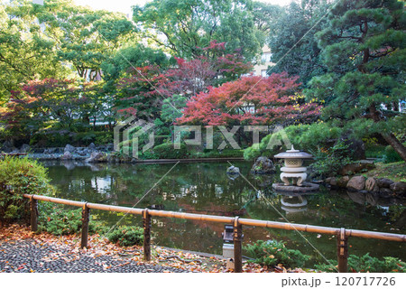 横浜公園の日本庭園 横浜公園の日本庭園 120717726