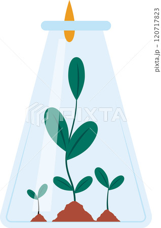 Plants growing inside a laboratory flask during an experiment with chemical drops falling from above, representing scientific research and discovery Plants growing inside a laboratory flask during an experiment with chemical drops falling from above, representing scientific research and discovery 120717823