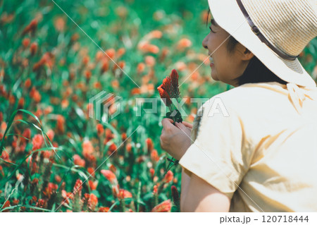 ストロベリーキャンドルのお花摘み 120718444