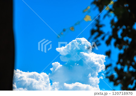 木陰から眺めた入道雲 木陰から眺めた入道雲 120718970