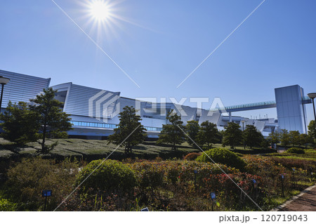 東京都中央卸売市場　豊洲市場　水産仲卸売場棟 120719043