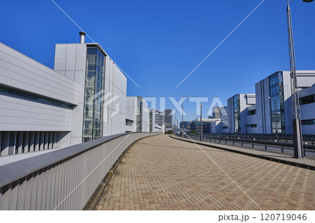 東京都中央卸売市場 豊洲市場 東京都中央卸売市場 豊洲市場 120719046