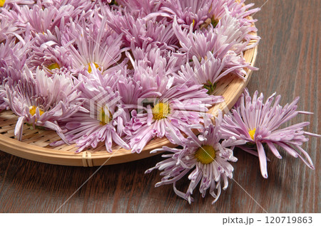 山形名産の食用菊、もってのほか 120719863