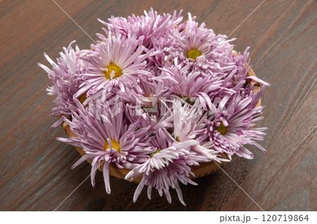 山形名産の食用菊、もってのほか 120719864