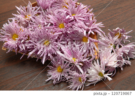 山形名産の食用菊、もってのほか 山形名産の食用菊、もってのほか 120719867