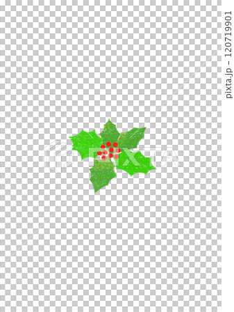 聖誕冬青葉和紅色漿果 120719901