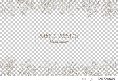 カスミソウのペン画のフレーム カスミソウのペン画のフレーム 120720089