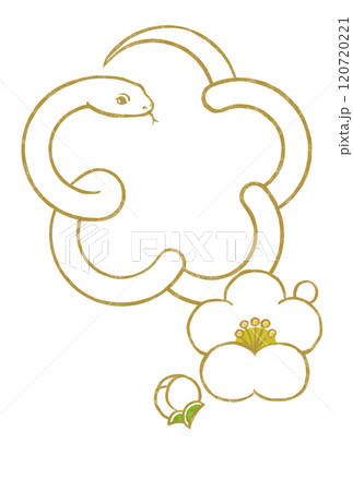 金色の輪郭線の白いヘビで囲った梅の花の形に小振りな白梅と蕾 版画風 金色の輪郭線の白いヘビで囲った梅の花の形に小振りな白梅と蕾 版画風 120720221