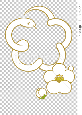 金色の輪郭線の白いヘビで囲った梅の花の形に小振りな白梅と蕾 版画風 金色の輪郭線の白いヘビで囲った梅の花の形に小振りな白梅と蕾 版画風 120720221