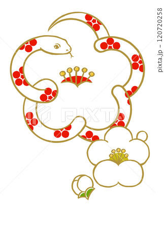 梅鉢文様の金色の輪郭線の白いヘビで象った白梅に小振りな白梅と蕾　筆描き・マット塗り 120720258