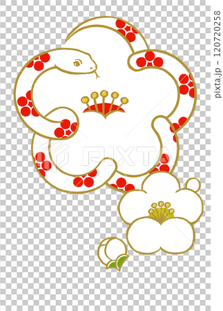 梅鉢文様の金色の輪郭線の白いヘビで象った白梅に小振りな白梅と蕾　筆描き・マット塗り 120720258