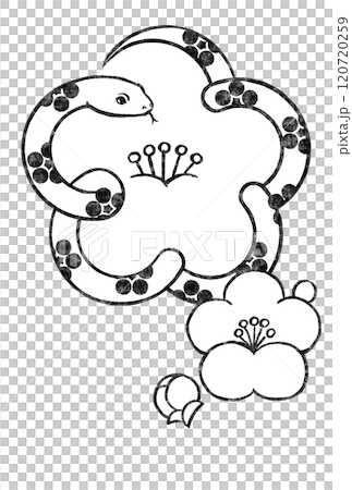 Small white plum blossoms and buds on a white snake in a plum blossom pattern, woodblock print style, black 120720259