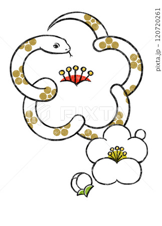 金色の梅鉢文様の白いヘビで象った白梅に小振りな白梅と蕾 版画風 金色の梅鉢文様の白いヘビで象った白梅に小振りな白梅と蕾 版画風 120720261