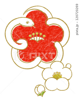金色の輪郭線の白いヘビで象った紅梅に小振りな白梅と蕾 版画風 金色の輪郭線の白いヘビで象った紅梅に小振りな白梅と蕾 版画風 120720269