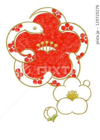 梅鉢文様の金色の輪郭線の白いヘビで象った紅梅に小振りな白梅と蕾 版画風 梅鉢文様の金色の輪郭線の白いヘビで象った紅梅に小振りな白梅と蕾 版画風 120720276