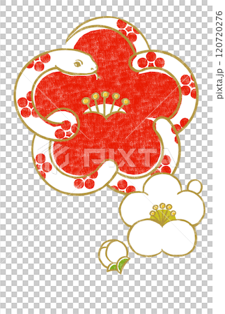 梅鉢文様の金色の輪郭線の白いヘビで象った紅梅に小振りな白梅と蕾 版画風 梅鉢文様の金色の輪郭線の白いヘビで象った紅梅に小振りな白梅と蕾 版画風 120720276