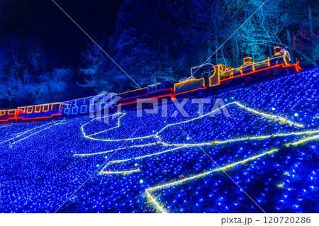 伊豆　修善寺　機関車のイルミネーション　虹の郷　 120720286
