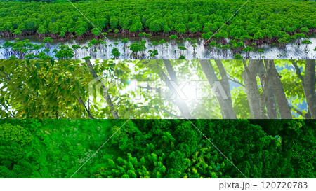 自然環境イメージのコラージュ 120720783