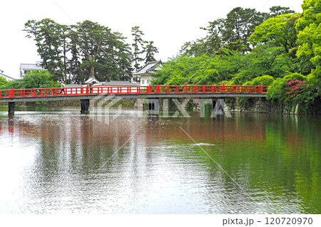 小田原城の堀と学橋【神奈川県小田原市】 120720970