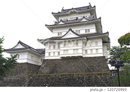 小田原城の天守閣【神奈川県小田原市】 小田原城の天守閣【神奈川県小田原市】 120720993