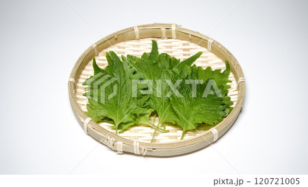 しそ しそ 120721005