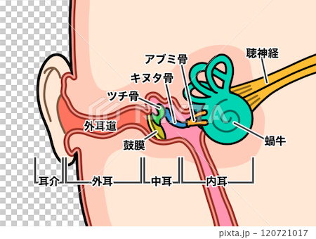 Inside the ear (with text) 120721017