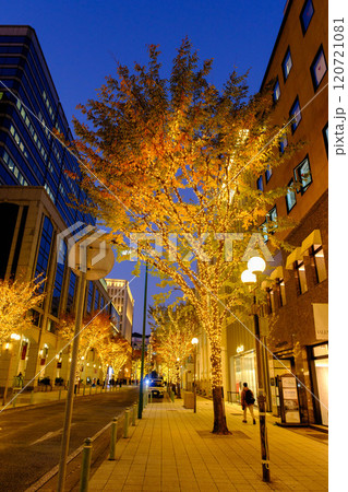 神戸の街がイルミネーションでキラキラ輝く12月,神戸元町旧居留地にて撮影 120721081