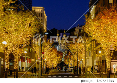 神戸の街がイルミネーションでキラキラ輝く12月,神戸元町旧居留地にて撮影 神戸の街がイルミネーションでキラキラ輝く12月,神戸元町旧居留地にて撮影 120721133