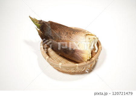 たけのこ 120721479