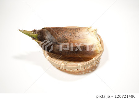 たけのこ 120721480