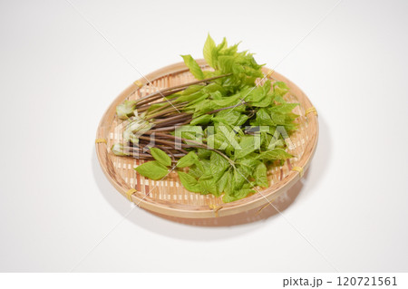 こしあぶら 120721561