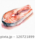 サーモンの水彩画 120721899