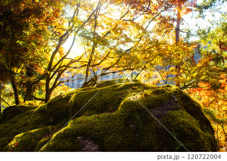【京都風景】宝厳院 見事な紅葉が魅せる庭 【京都風景】宝厳院 見事な紅葉が魅せる庭 120722004