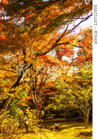 【京都風景】宝厳院　見事な紅葉が魅せる庭 120722008