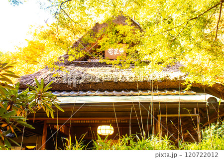 【京都風景】宝厳院　見事な紅葉が魅せる庭 120722012