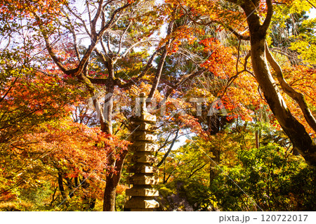 【京都風景】宝厳院 見事な紅葉が魅せる庭 【京都風景】宝厳院 見事な紅葉が魅せる庭 120722017
