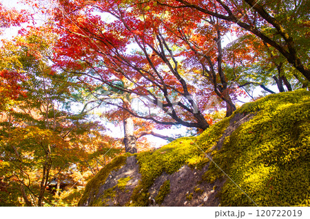 【京都風景】宝厳院 見事な紅葉が魅せる庭 【京都風景】宝厳院 見事な紅葉が魅せる庭 120722019
