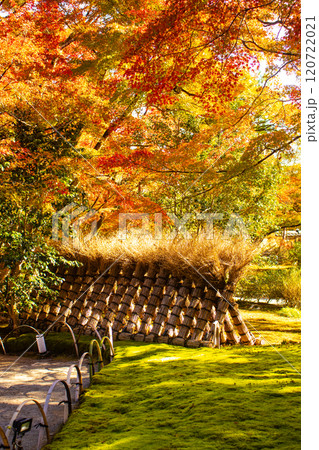 【京都風景】宝厳院 見事な紅葉が魅せる庭 【京都風景】宝厳院 見事な紅葉が魅せる庭 120722021