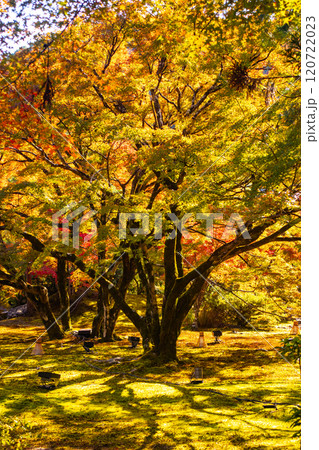 【京都風景】宝厳院 見事な紅葉が魅せる庭 【京都風景】宝厳院 見事な紅葉が魅せる庭 120722023