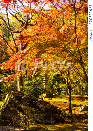 【京都風景】宝厳院 見事な紅葉が魅せる庭 【京都風景】宝厳院 見事な紅葉が魅せる庭 120722025