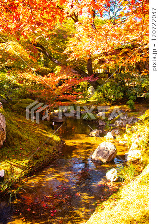 【京都風景】宝厳院　見事な紅葉が魅せる庭 120722037