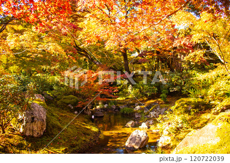【京都風景】宝厳院 見事な紅葉が魅せる庭 【京都風景】宝厳院 見事な紅葉が魅せる庭 120722039
