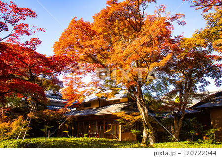 【京都風景】宝厳院　見事な紅葉が魅せる庭 120722044