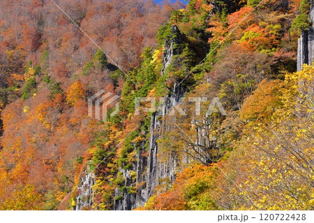 秋山郷 布岩の柱状節理 紅葉に包まれる 秋山郷 布岩の柱状節理 紅葉に包まれる 120722428