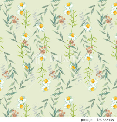 水彩の花や葉のナチュラルな背景　淡い緑背景 120722439